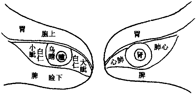 五輪學(xué)說